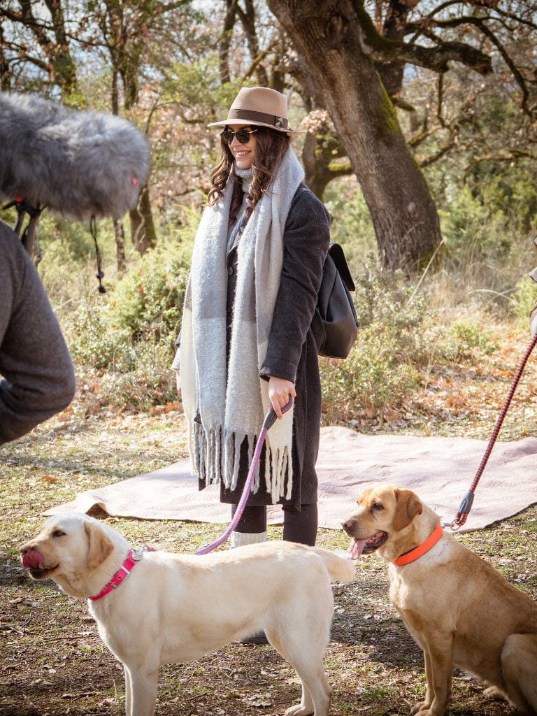 27 natural history museum meteora mushroom museum.jpg